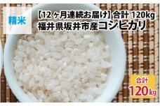 【先行予約】【令和7年産・新米】【12ヶ月連続お届け】福井県坂井市丸岡町産 コシヒカリ10kg×12回 計120kg（精米）【2025年10月より順次発送予定】 [P-11301_03]