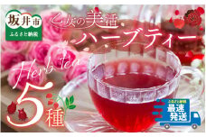 気分があがる! 乙女の美活ハーブティー 三国屋スタッフいちおし! 【ハーブ ティーバッグ オリジナル配合 ルイボス セット 飲み比べ 詰め合わせ プレゼント ギフト 贈答用 お中元 お歳暮】 [A-12269]