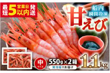 【発泡箱入り】 甘えび (中サイズ) 約1.1kg (550g×2箱) 1箱：約40尾前後 天然・鮮度抜群！ 海の上で食べる味！「共栄丸」直送☆船内瞬間冷凍 【海老 えび エビ アマエビ あまえび 甘海老 殻付き 有頭 生食 刺身 冷凍 魚介類 魚貝類 産地直送 福井県産 国産 三国 人気】 [A-23101]