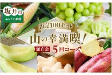 【先行予約】【定期便5回コース】山の幸満喫！限定定期便【2025年7月より発送開始予定】 [G-3204]
