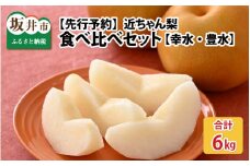 【先行予約】近ちゃん梨 食べ比べセット 合計6kg 【幸水・豊水】 各3kg（ 6～ 8玉入り）【2025年8月中旬以降発送開始予定】【定期便2025年8月9月発送】【梨 なし フルーツ 甘い みずみずしい 果実 果物 新鮮 旬の果物 食べ比べ 詰め合わせ】 [B-6303]