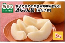 【先行予約】女子力高めの梨農家姉妹がおくる！ 近ちゃん梨 3kg（3L～5L） 6～8玉入り (幸水梨or豊水梨) 【2025年8月中旬～9月下旬発送予定】【梨 なし フルーツ 甘い みずみずしい 果実 果物 新鮮 旬の果物】 [A-6318]