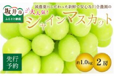 【先行予約】減農薬にこだわった新鮮で安心な川合農園大人気のシャインマスカット2房 約1.0kg【2025年9月中旬以降順次発送予定】【マスカット ブドウ ぶどう 葡萄 果物 くだもの フルーツ 果実 旬 新鮮 国産】 [A-7507]