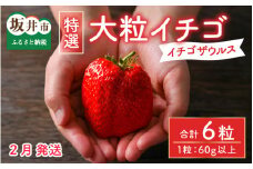 【先行予約】2月にお届け！特選大粒イチゴ（イチゴザウルス）１箱　6粒入り【2024年2月上旬以降順次発送予定】 [A-11603]
