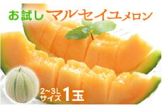 【先行予約】【お試し】マルセイユメロン 1玉（2～3Lサイズ）【期間限定】【2025年6月上旬以降順次発送予定】 [A-3292]
