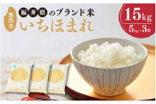 【令和6年産】 福井県のブランド米 いちほまれ 無洗米 15kg （5kg × 3袋） 【 無洗米 人気 品種 ブランド米 特A 】 [E-6101]