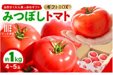 【期間限定】みつぼしトマト☆自然がくれた真っ赤なギフト 約1kg 【とまと トマト 野菜 生野菜 新鮮 産地直送 贈答 ギフト 国産】 [A-2608]