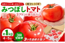 【期間限定】定期便 ≪3ヶ月連続お届け≫ みつぼしトマト☆3ブランド食べ比べ！ 約1kg × 3回 【とまと トマト 野菜 生野菜 新鮮 産地直送 贈答 ギフト 国産】 [A-2609]