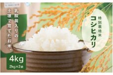 【先行予約】【令和7年産・新米】乳酸菌入りの土壌で育てた 福井県 坂井町産 特別栽培米コシヒカリ 4kg（2kg×2袋）（白米）【2025年9月中旬以降順次発送予定】 [A-4837_01]