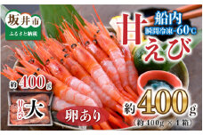 「共栄丸」直送☆船内瞬間冷凍 プレミアム甘えび　卵あり 約400g 【海老 えび エビ アマエビ あまえび 甘海老 殻付き 有頭 生食 刺身 冷凍 魚介類 魚貝類 産地直送 坂井市産 福井県産 国産 三国 人気】 [A-2392]