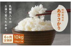 【先行予約】【令和7年産・新米】定期便 ≪6ヶ月連続お届け≫ 受賞歴多数！福井県 坂井町産 特別栽培米あきさかり 10kg (玄米) 【2025年10月上旬より順次発送予定】 [K-4802_02]