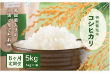 【先行予約】【令和7年産・新米】 定期便 ≪6ヶ月連続お届け≫ 乳酸菌入りの土壌で育てた 福井県 坂井町産 特別栽培米コシヒカリ 5kg (白米) 【2025年10月上旬以降順次発送予定】 [F-4806_01]