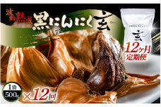 定期便 ≪12ヶ月連続お届け≫ 黒にんにく 500g × 12回 計6kg 止まらなくなるほど美味しい！波動 熟成 『玄』 【黒にんにく にんにく 贈答 ギフト お土産 国産】 [N-15301]