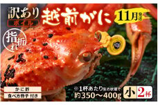 【先行予約】【訳あり】名人が茹でる指折れ訳あり越前がに（小）2杯 (1杯あたり生の状態で約350～400g) やまに仕込み 【11月発送分】【越前ガニ ズワイガニ ずわいがに 蟹 三国 浜茹で 冬の味覚】 [D-4306_11]