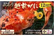 【先行予約】【訳あり】名人が茹でる指折れ訳あり越前がに（小）2杯 (1杯あたり生の状態で約350～400g) やまに仕込み 【12月発送分】 【越前ガニ ズワイガニ ずわいがに 蟹 三国 浜茹で 冬の味覚】 [D-4306_12]