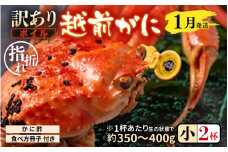 【先行予約】【訳あり】名人が茹でる指折れ訳あり越前がに（小）2杯 (1杯あたり生の状態で約350～400g) やまに仕込み 【1月発送分】 【越前ガニ ズワイガニ ずわいがに 蟹 三国 浜茹で 冬の味覚】 [D-4306_01]