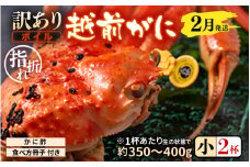 【先行予約】【訳あり】名人が茹でる指折れ訳あり越前がに（小）2杯 (1杯あたり生の状態で約350～400g) やまに仕込み 【2月発送分】 【越前ガニ ズワイガニ ずわいがに 蟹 三国 浜茹で 冬の味覚】 [D-4306_02]
