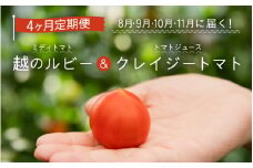 【先行予約】定期便 ≪4ヶ月連続お届け≫ 「越のルビー」ミディトマト5パックと完熟収穫にこだわったトマトジュース！「クレイジートマト」（8月～11月各月発送）【2024年8月より順次発送予定】 [D-2704]