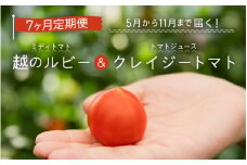 【先行予約】定期便 ≪7ヶ月連続お届け≫ 「越のルビー」ミディトマト5パックと完熟収穫にこだわったトマトジュース！「クレイジートマト」（5月～11月各月発送）【2024年5月より順次発送予定】 [G-2702]