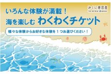 福井旅行に最適！海を楽しむワクワク体験チケット 【感謝券】【坂井市 三国 体験 東尋坊 海釣り 見学 グルメ】 [B-5958]