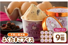  平飼い福地鶏「ふくたまごアイス」9個セット (ラムレーズン)【アイス アイスクリーム 洋菓子 スイーツ お菓子 デザート 詰め合わせ 詰合せ セット 冷凍 贈答 プレゼント ギフト 人気 お中元 夏ギフト 暑さ対策 】 [A-4940_02]