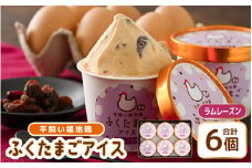 平飼い福地鶏「ふくたまごアイス」6個セット (ラムレーズン) 【アイス アイスクリーム 洋菓子 スイーツ お菓子 デザート 詰め合わせ 詰合せ セット 冷凍 贈答 プレゼント ギフト 人気 お中元 夏ギフト 暑さ対策 】 [A-4941_02]