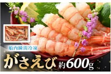 【発泡箱入り】漁船直送☆船内瞬間冷凍 がさえび 約600g 【希少 海老 えび エビ ガサエビ ガラエビ がらえび ザコエビ ブルエビ ガマエビ ガスエビ がすえび 越前えび 殻付き 有頭 生食 刺身 冷凍 魚介類 魚貝類 産地直送 坂井市産 国産 三国】 [A-2338]