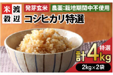 【令和7年産】発芽玄米 コシヒカリ「特選」特別栽培米使用 2kg×2袋（計4kg）【米 こしひかり 玄米 ギャバ GABA 特別栽培 食物繊維 栄養 真空パック ごはん ご飯 おいしい ふるさと納税米】 [C-2925]