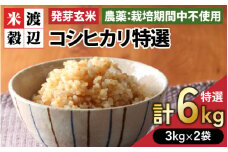 【令和6年産】発芽玄米 コシヒカリ「特選」特別栽培米使用 3kg×2袋（計6kg）【米 こしひかり 玄米 ギャバ GABA 特別栽培 食物繊維 栄養 真空パック ごはん ご飯 おいしい ふるさと納税米】 [B-2932]