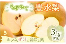 【先行予約】【豊水梨】3kg前後 (5~8個) もぎたて！たっぷり果汁の新鮮な梨をお届け！【2025年8月下旬以降順次発送予定】【梨 なし 和梨 先行予約 フルーツ 甘い みずみずしい 果実 果物 新鮮 お土産 贈り物 旬の果物】 [A-15006]