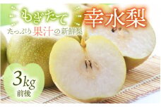 【先行予約】【幸水梨】3kg前後 (5~8個) たっぷりの果汁を含んだジューシーな梨！【2025年8月上旬以降順次発送予定】【梨 なし 和梨 先行予約 フルーツ 甘い みずみずしい 果実 果物 新鮮 お土産 贈り物 旬の果物】 [A-15007]