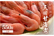 鮮度抜群！三国甘海老 550g 【甘海老 あまえび アマエビ えび 海老 有頭 刺身 生食 海鮮 海産物 魚貝類 魚介類 新鮮 冷凍 三国】 [A-18701]