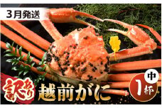 【先行予約】【訳あり】 茹で「越前ズワイ蟹」 中 1杯 脚折れ 【2026年3月発送分】【わけあり ワケアリ カニ かに 蟹 越前ガニ 越前蟹 ずわいがに ズワイガニ ズワイ ボイルガニ 姿 ボイル 冬の味覚 冷蔵 国産 県産】 [G-1402_03]