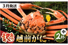 【先行予約】【訳あり】 茹で「越前ズワイ蟹」 中 2杯 脚折れ 【2026年3月発送分】【わけあり ワケアリ カニ かに 蟹 越前ガニ 越前蟹 ずわいがに ズワイガニ ズワイ ボイルガニ 姿 ボイル 冬の味覚 冷蔵 国産 県産】 [L-1401_03]