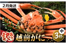 【先行予約】【訳あり】 茹で「越前ズワイ蟹」 中 3杯 脚折れ 【2026年2月発送分】【わけあり ワケアリ カニ かに 蟹 越前ガニ 越前蟹 ずわいがに ズワイガニ ズワイ ボイルガニ 姿 ボイル 冬の味覚 冷蔵 国産 県産】 [O-1402_02]