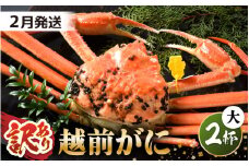 【先行予約】【訳あり】 茹で「越前ズワイ蟹」 大 2杯 脚折れ 【2026年2月発送分】【わけあり ワケアリ カニ かに 蟹 越前ガニ 越前蟹 ずわいがに ズワイガニ ズワイ ボイルガニ 姿 ボイル 冬の味覚 冷蔵 国産 県産】 [N-1401_02]