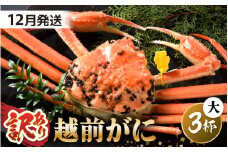 【先行予約】【訳あり】 茹で「越前ズワイ蟹」 大 3杯 脚折れ 【2025年12月発送分】【わけあり ワケアリ カニ かに 蟹 越前ガニ 越前蟹 ずわいがに ズワイガニ ズワイ ボイルガニ 姿 ボイル 冬の味覚 冷蔵 国産 県産】 [O-1403_12]
