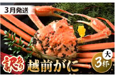 【先行予約】【訳あり】 茹で「越前ズワイ蟹」 大 3杯 脚折れ 【2026年3月発送分】【わけあり ワケアリ カニ かに 蟹 越前ガニ 越前蟹 ずわいがに ズワイガニ ズワイ ボイルガニ 姿 ボイル 冬の味覚 冷蔵 国産 県産】 [O-1403_03]