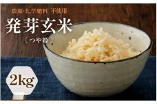 【令和6年産】発芽玄米 農薬・化学肥料不使用 つや姫 特選 2kg ～上品な甘みと旨味～ 【玄米 米 コメ こめ お米 ブランド米 ギャバ GABA 特別栽培 食物繊維 栄養 ごはん ご飯 ふるさと納税米】 [A-2971]