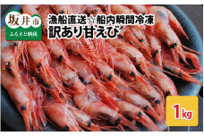 【訳あり】甘えび 約1kg 漁船直送☆船内瞬間冷凍【ワケアリ 海老 えび エビ アマエビ あまえび 甘海老 殻付き 有頭 生食 刺身 冷凍 魚介類 魚貝類 産地直送 坂井市産 福井県産 国産 三国 人気】 [A-2316]