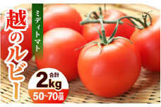 【先行予約】 三里浜砂丘地産 越のルビー（ミディトマト）甘くておいしい中玉トマト 約2kg 【2025年6月上旬以降順次発送予定】 【トマト とまと 中玉とまと リコピン 豊富 野菜 生野菜 甘い 高糖度 産地直送 国産】 [A-19202]