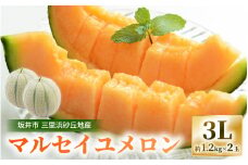 【先行予約】 坂井市三里浜砂丘地産 マルセイユメロン 2玉（1玉 約1.2kg前後） 【2026年6月中旬以降順次発送予定】 【メロン めろん フルーツ デザート 果物 くだもの 果実 赤肉 糖度 甘い ジューシー お取り寄せ グルメ 産地直送 】 [A-19001]