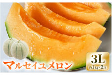 【先行予約】三里浜砂丘地産 マルセイユメロン（赤肉メロン）3L 2玉入り（1玉：約1～1.3kg） 【2025年6月上旬以降順次発送予定】【メロン めろん フルーツ デザート 果物 くだもの 果実 赤肉 糖度 甘い ジューシー お取り寄せ グルメ 産地直送 】 [A-19201]