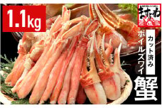 カット済み！ ボイルズワイガニ むき身セット 1.1kg (約3～4人前) 剥き身加工・特大3Lサイズ以上！ 【ズワイガニ ずわいがに 楚蟹 カニ 蟹 剥き身 むき身 ポーション バラ凍結 下処理なし 蟹料理  簡単 簡単調理 便利 使いやすい 時短 冷凍 ますよね】 [B-19608]