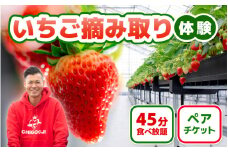 【感謝券】45分食べ放題！ICHIGOOJIのいちご摘み取り体験 ペアチケット 【イチゴ 苺 章姫 紅ほっぺ いちご狩り 旬の味覚 利用券 チケット 観光 体験 旅行】 [B-19501]