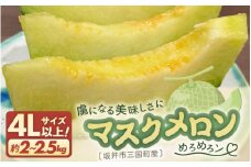 【先行予約】 マスクメロン 4Lサイズ以上 1玉 （約2～2.5kg） 虜になる美味しさにめろめろン? 大切な人の笑顔がみたいあなたへ 【2025年10月下旬以降順次発送予定】【メロン めろん フルーツ デザート 果物 くだもの 果実 青肉 糖度 甘い ジューシー お取り寄せ グルメ 産地直送】 [A-16204]