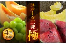 【先行予約】【定期便 4回コース】  坂井市フルーツ三昧！！「極」 【2026年6月上旬以降順次発送開始予定】【定期便 くだもの 果物 フルーツ お楽しみ スイカ 西瓜 ピノガール マルセイユメロン シャインマスカット ブドウ 葡萄 アールスメロン 贈答 ギフト 贈り物】 [H-3201]