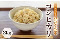 【令和6年産】発芽玄米 特別栽培米 コシヒカリ 2kg 【米 玄米 こしひかり ギャバ GABA 特別栽培 食物繊維 栄養 真空パック ごはん ご飯 おいしい ふるさと納税米】 [A-2977]