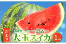 【先行予約】【訳アリ】大玉スイカ 1玉 ～羅皇～ 【2025年7月中旬以降順次発送予定】【訳あり わけあり スイカ 西瓜 すいか デザート 果物 くだもの 夏フルーツ ジューシー お取り寄せ グルメ 産地直送】 [A-16508]