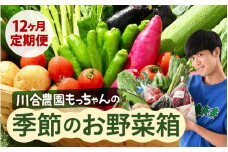 定期便 ≪12ヶ月連続お届け≫ 川合農園もっちゃん季節のお野菜お届け箱 ～季節の野菜や果実を毎月7品種前後お届けします！～ 【野菜 やさい 野菜セット 詰め合わせ おまかせ 新鮮 旬 定期便 12回 産地直送】 [K-7501]